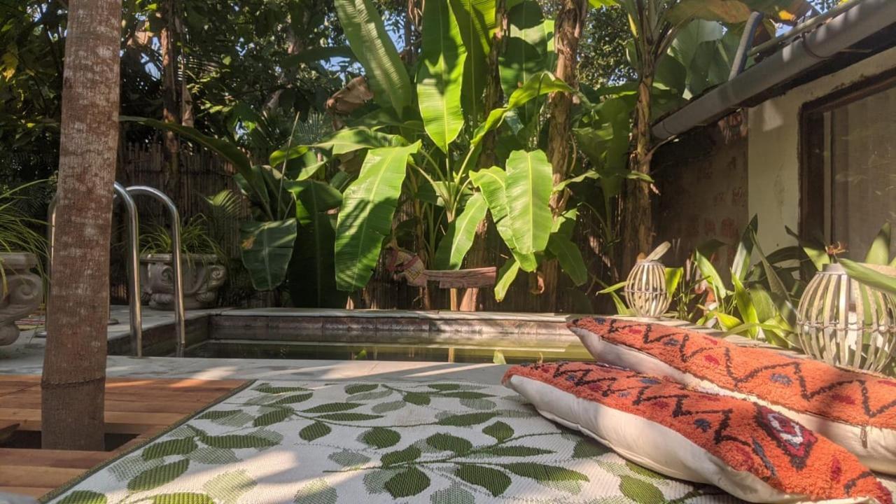 Sunsets And Palm Trees Bed & Breakfast Alappuzha Ngoại thất bức ảnh