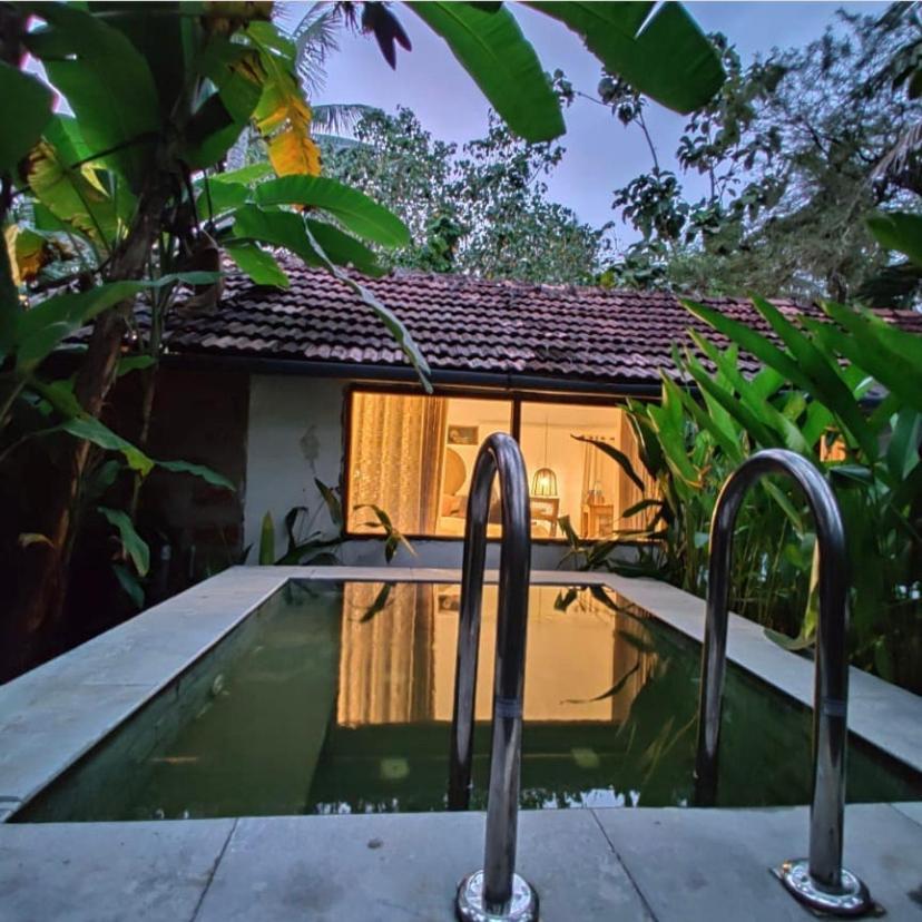Sunsets And Palm Trees Bed & Breakfast Alappuzha Ngoại thất bức ảnh