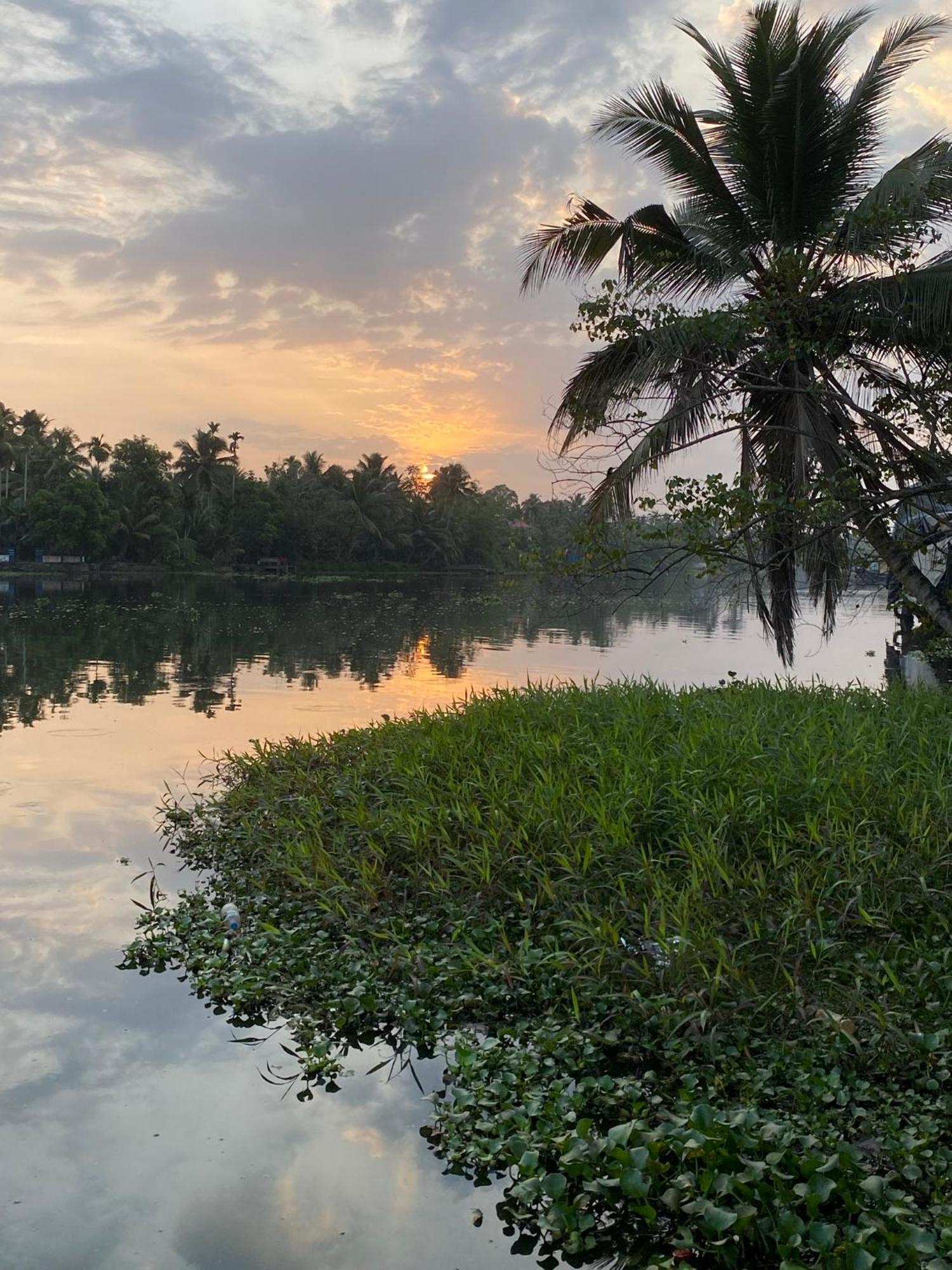 Sunsets And Palm Trees Bed & Breakfast Alappuzha Ngoại thất bức ảnh